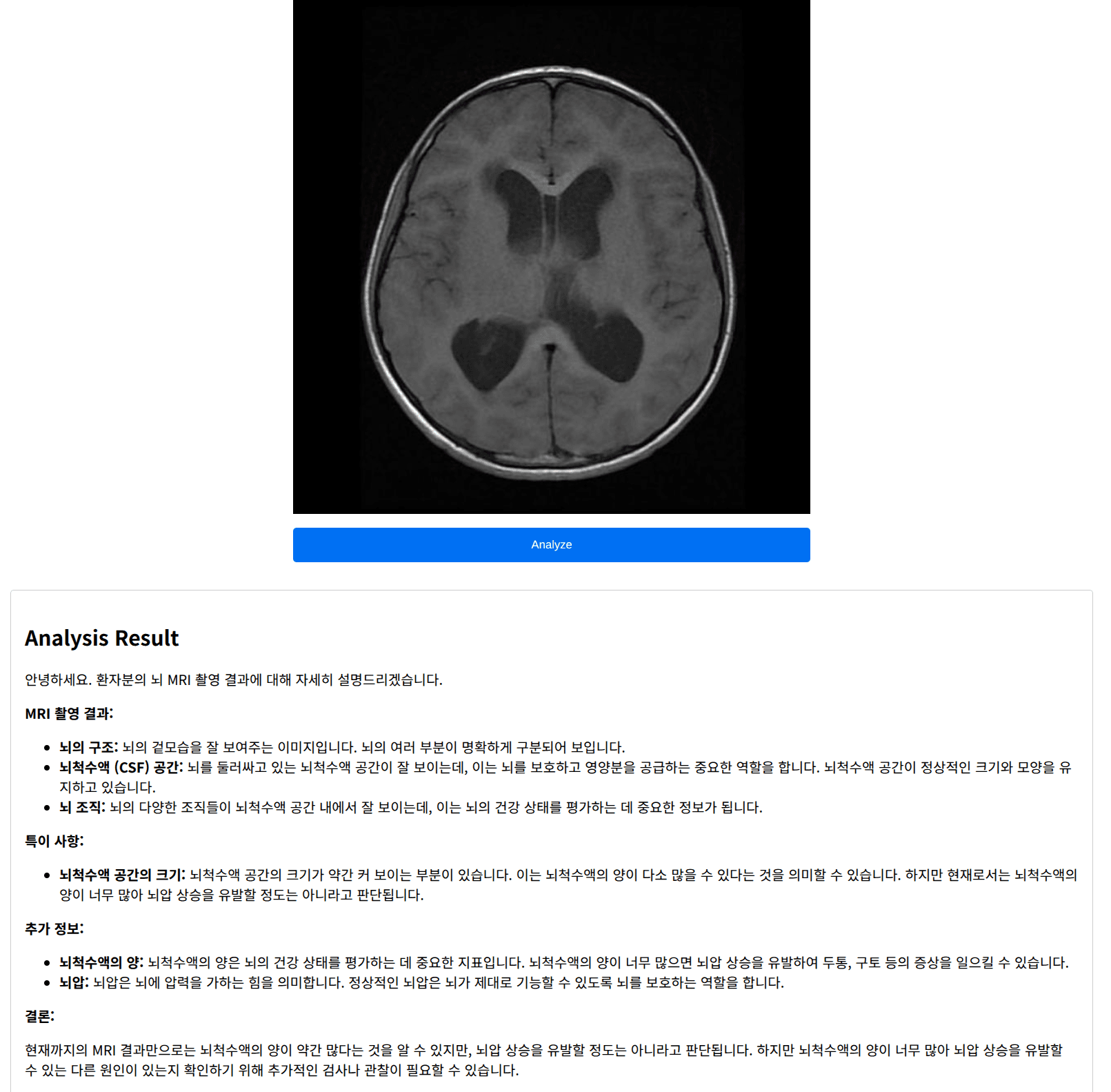 VLM 의료 영상 판독